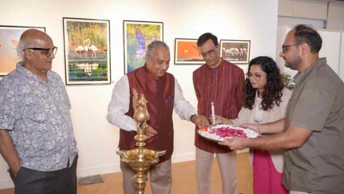 Photography Exhibition, Vinod Thomas, Wondertales, India Habitat Centre, New Delhi, Travel Photography, Landscape Photography, Wildlife Photography, Waste Warriors, Art Exhibition, Global Travel, Vinod Thomas Photographer